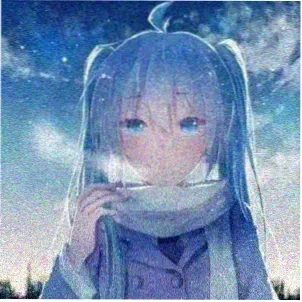 二次元魂